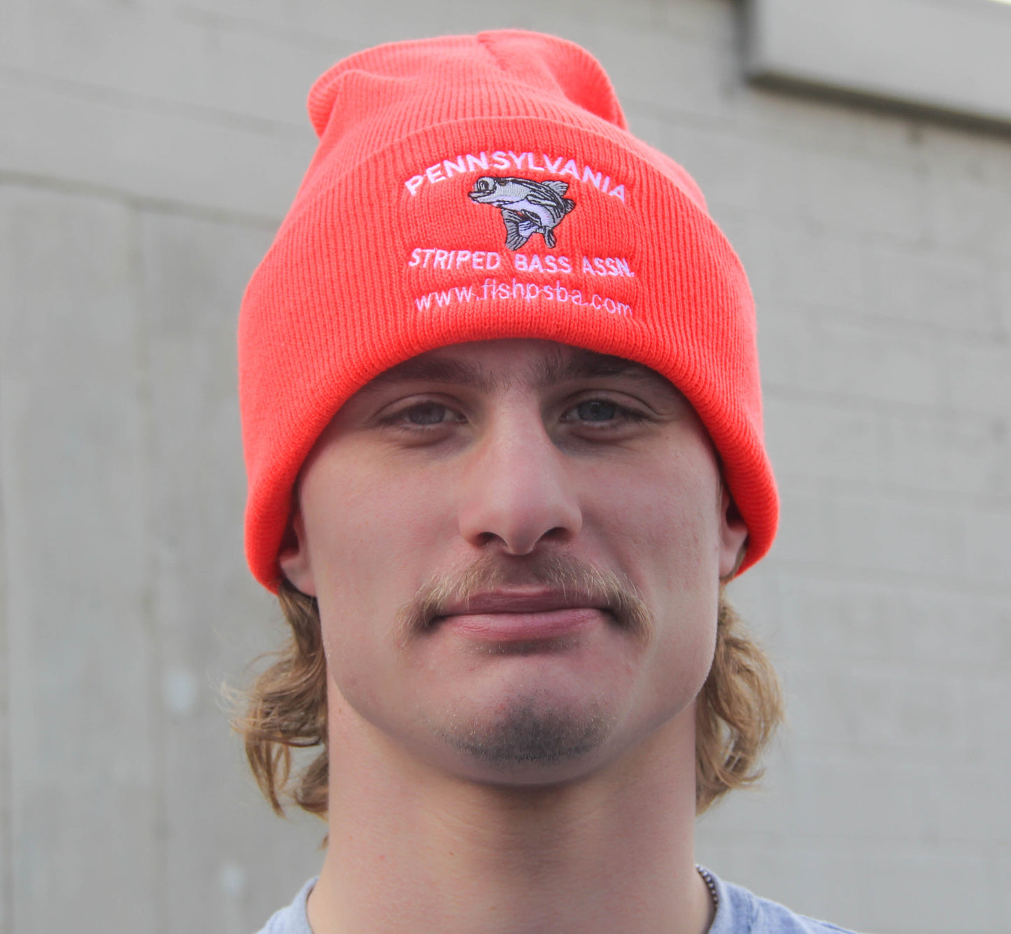 Orange Logo Beanie